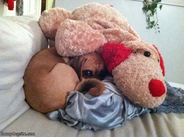 Hiding Here