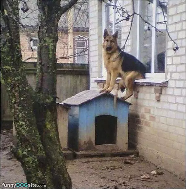 My Place To Hang Out