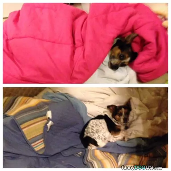 All Tucked In