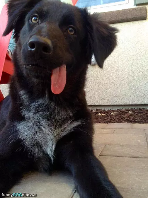 Derpppppp
