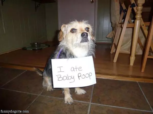 The Baby Poop Eater