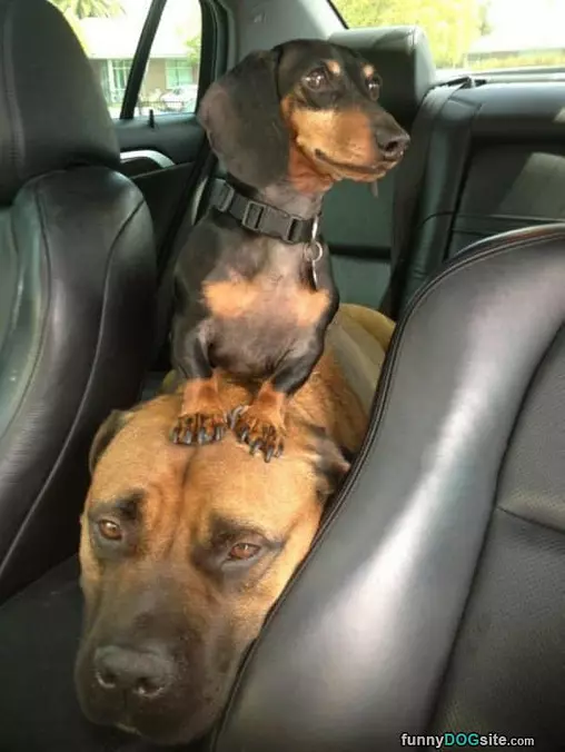 Car Ride
