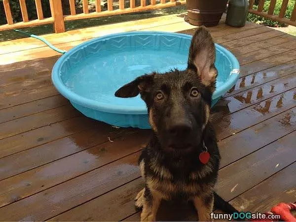 Did You Say Something