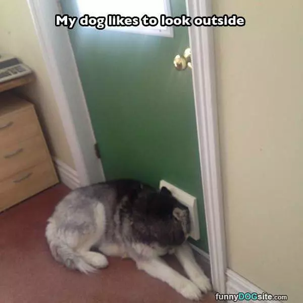 Looking Outside