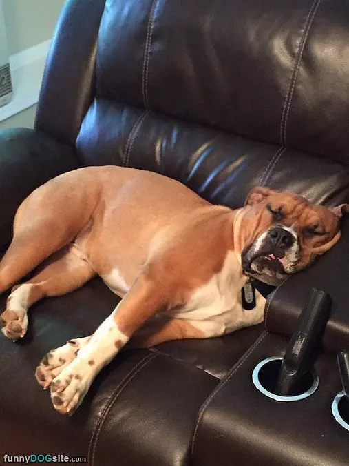 So Relaxed During This Movie