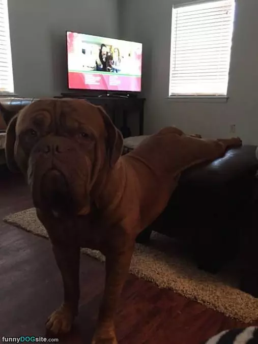 This Is How I Sit Around