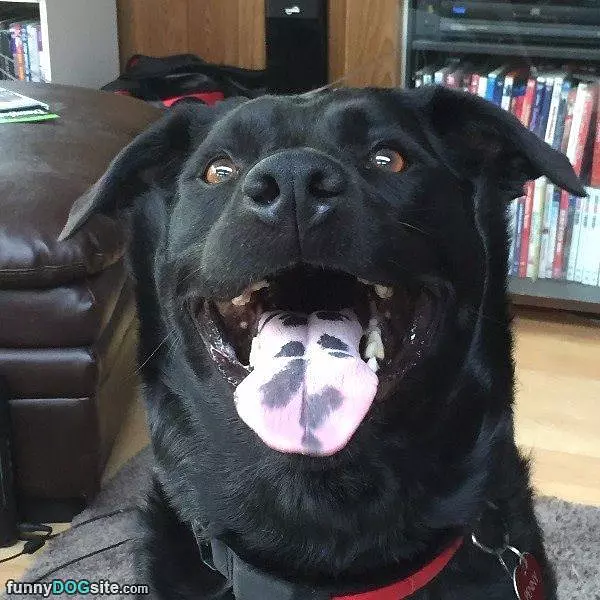 I Have A Crazy Tongue