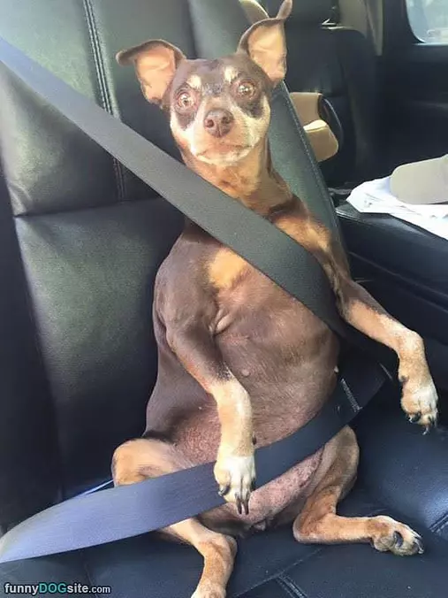 Safety First
