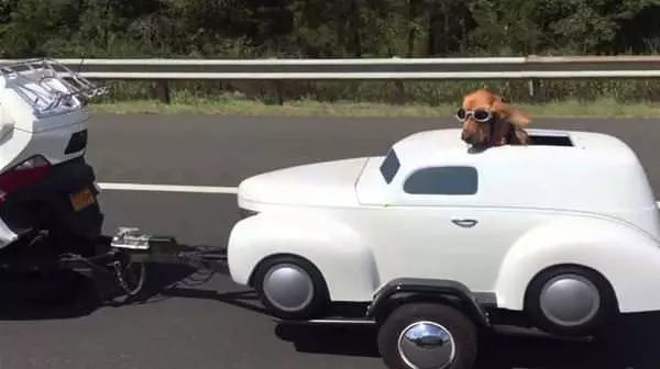 Getting A Ride