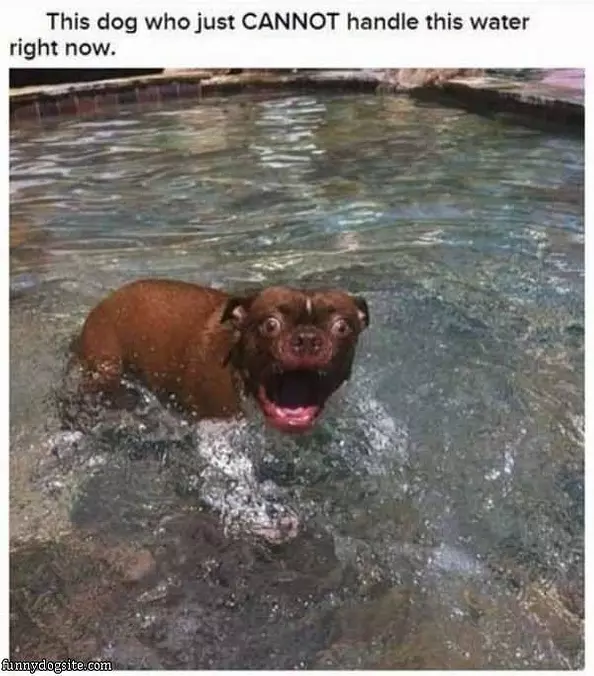 Cannot Handle