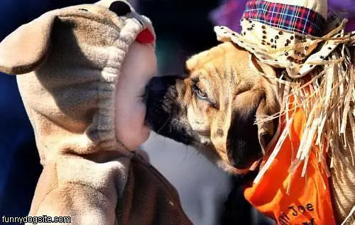Face Kisss