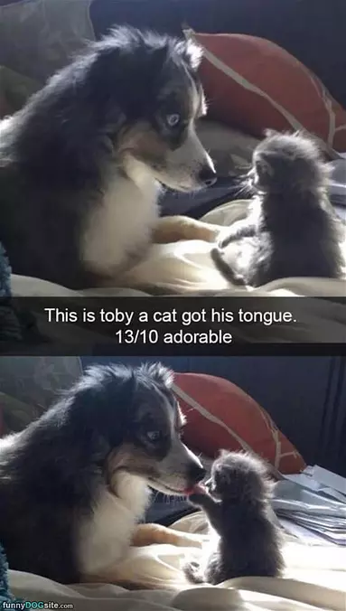 These 2 Are Adorable