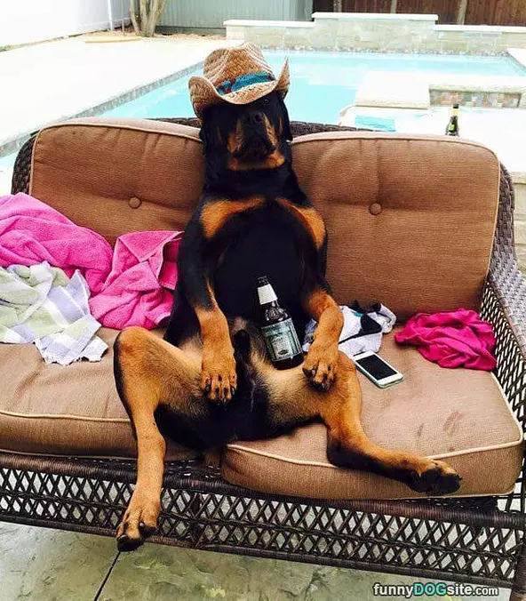 Chillin Here