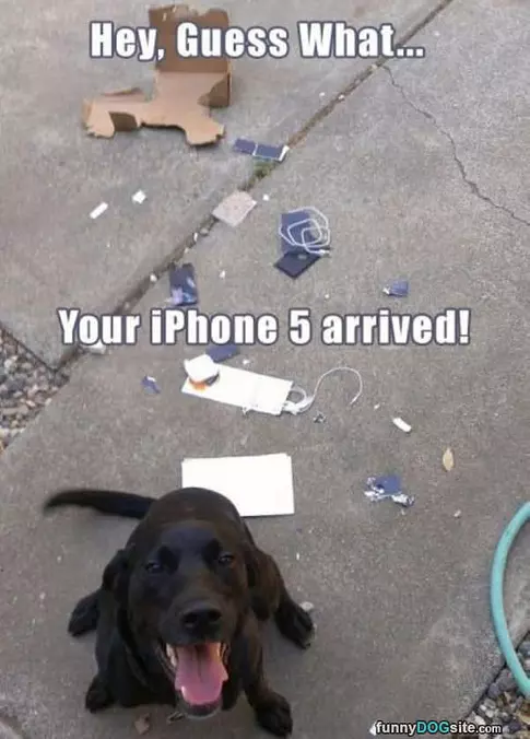 Iphone Arrived
