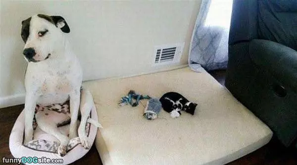 We Traded Beds