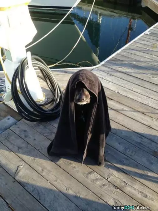 Something Something Dark Side