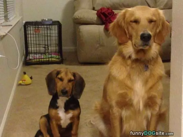 Both Blinking