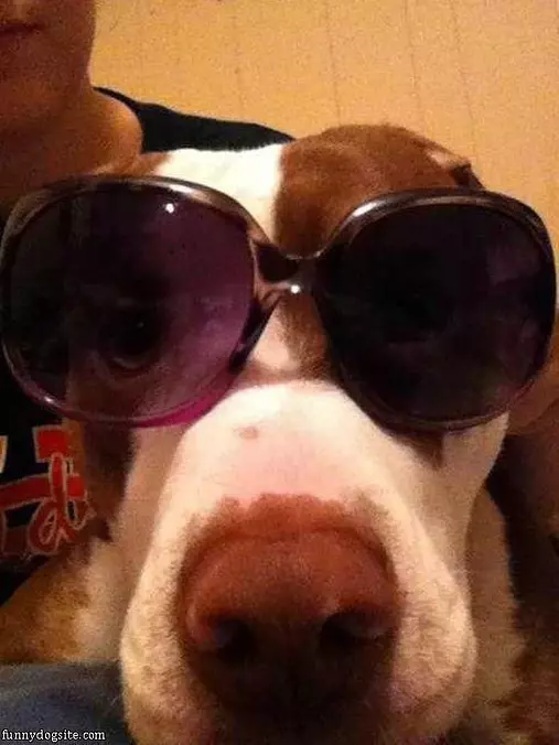 My New Glasses