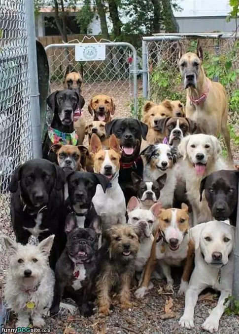 A Group Shot