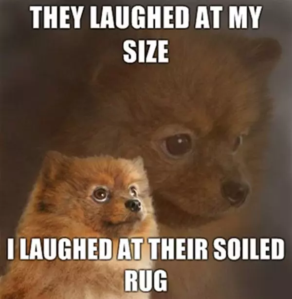 Laughed At My Size