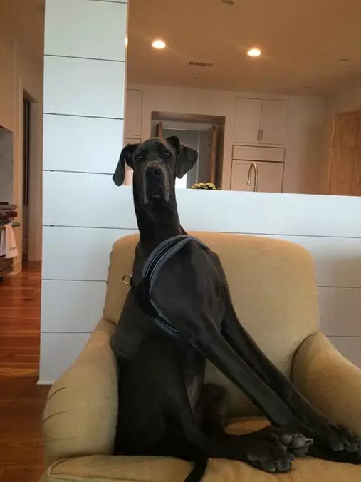 Sitting Takk And Proud