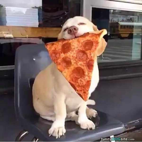 Look What I Has