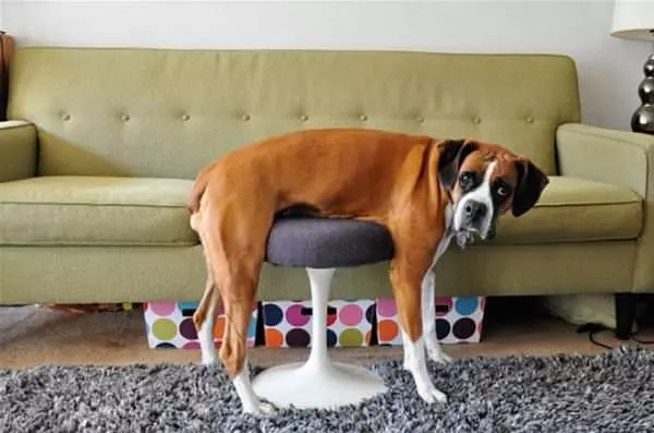 Trying The Table Out
