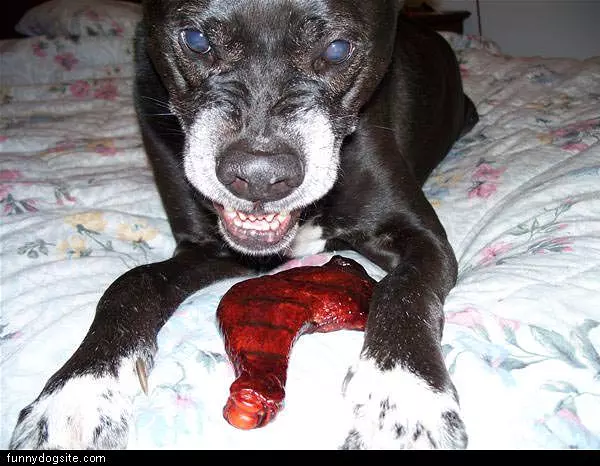 Dont touch my chicken