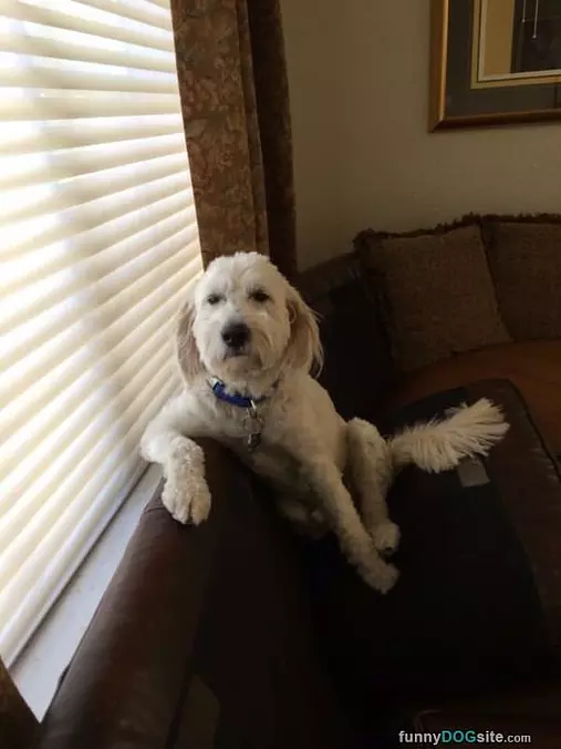 Hey How You Doin