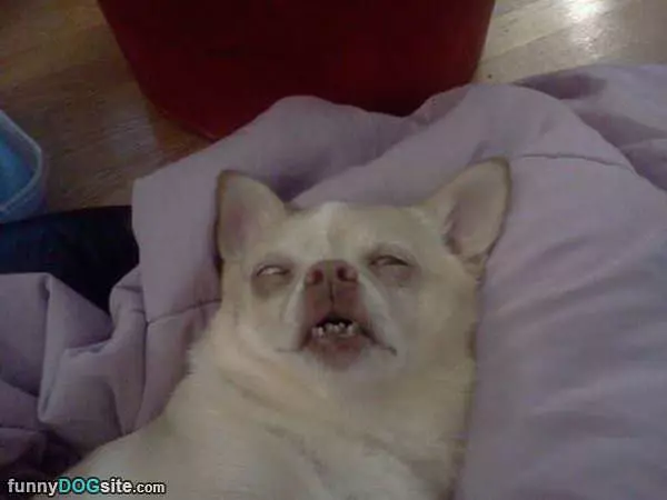 Tired