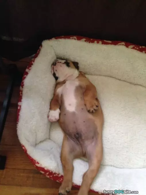 I Am So Super Passed Out