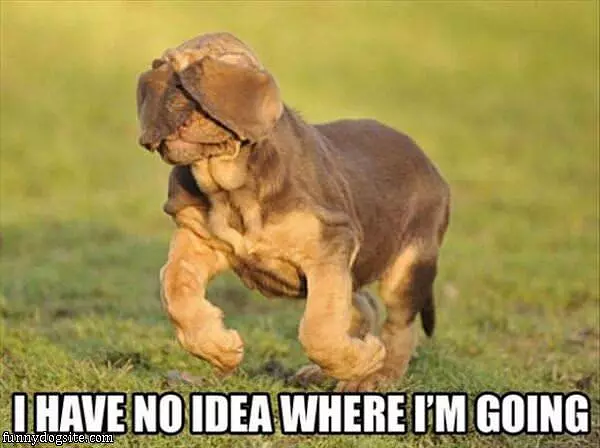 No Idea