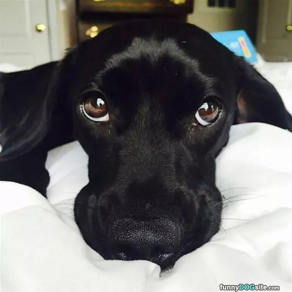I Am Ready To Go Play Now