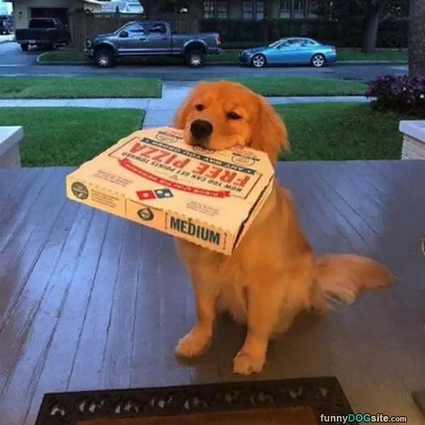 I Fetched Some Pizza