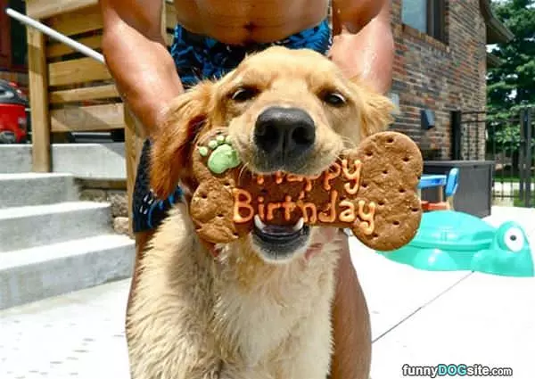 Happy Birthday Dog