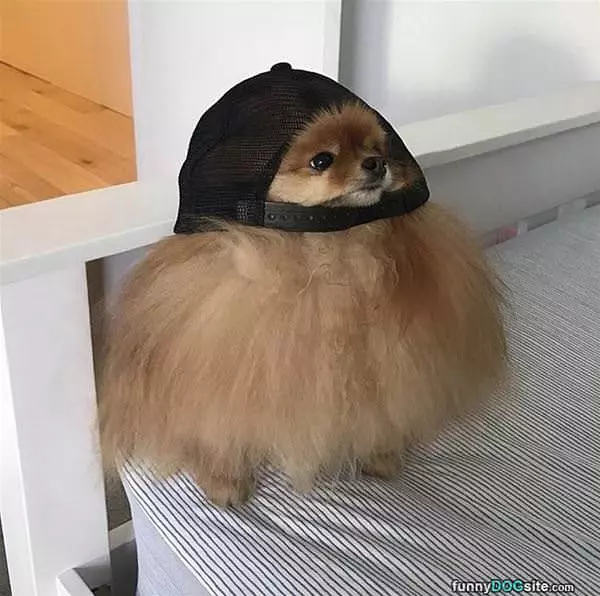 This Hat Does Not Fit Great