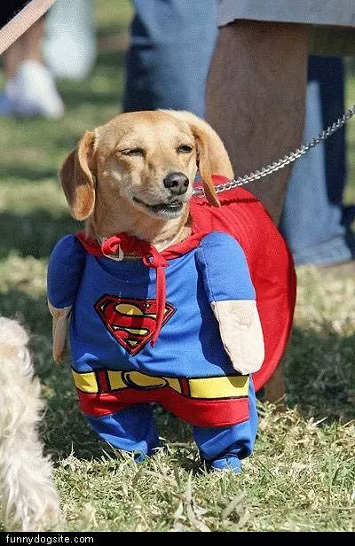 Super Dog