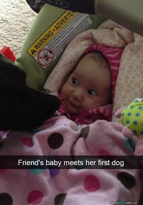 Met My First Dog