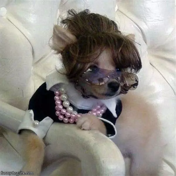 Nice Glasses