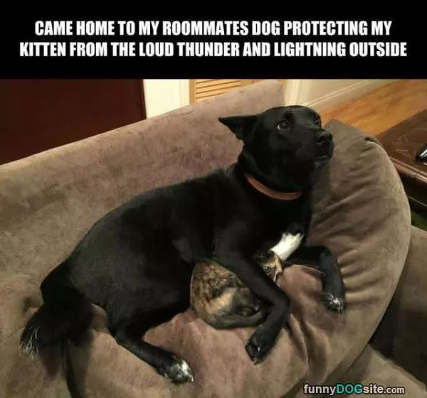 Thunder Protection