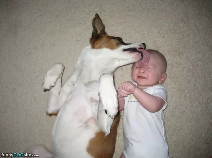 Give Me A Kiss