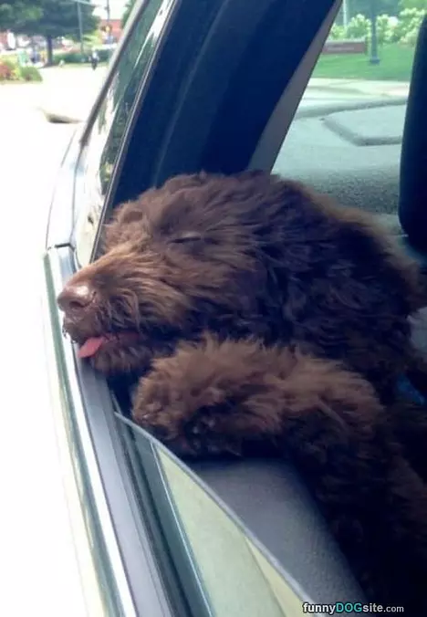I Am Sleepy
