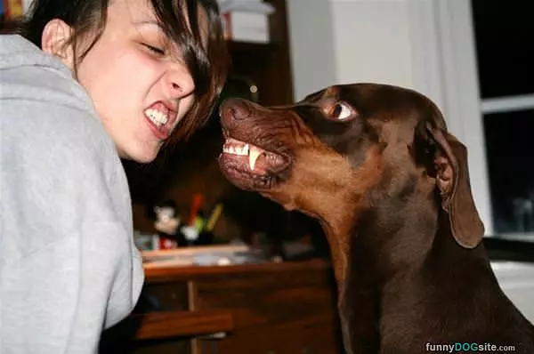 A Gerrrrr Face