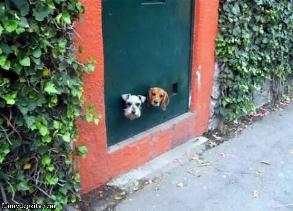 Whats Going On Out Here