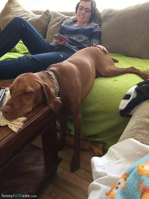 Relaxing On The Couch
