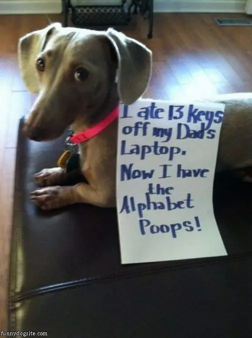 I Ate Some Keys