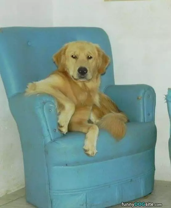 Come Have A Seat