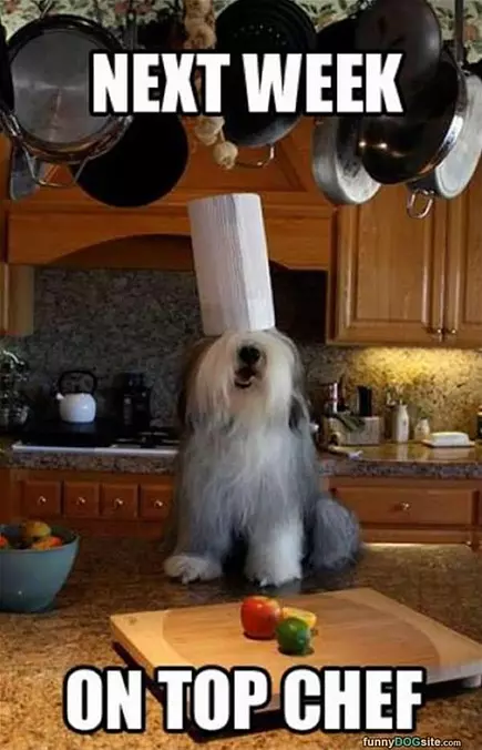 Next Week On Top Chef
