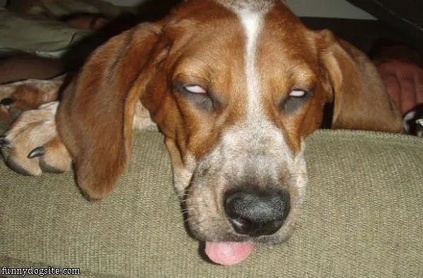 Dont Wake Me Up Please