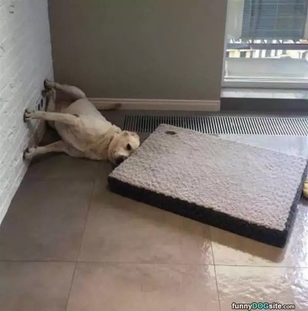 I Dont Know If I Like The Bed Yet
